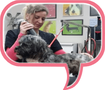 Sarissa Temminck bij Trimsalon Snuit