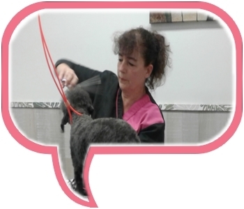 Astrid Schinkel bij Trimsalon Snuit