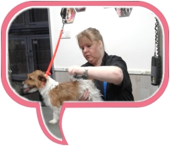 Leontine Groenendijk bij Trimsalon Snuit