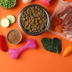 concept of organic pet food