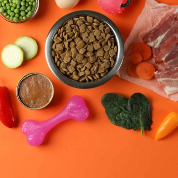 concept of organic pet food