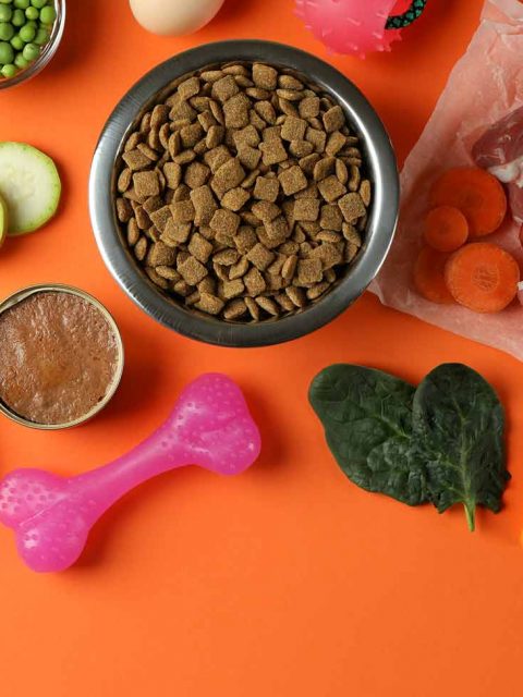 concept of organic pet food