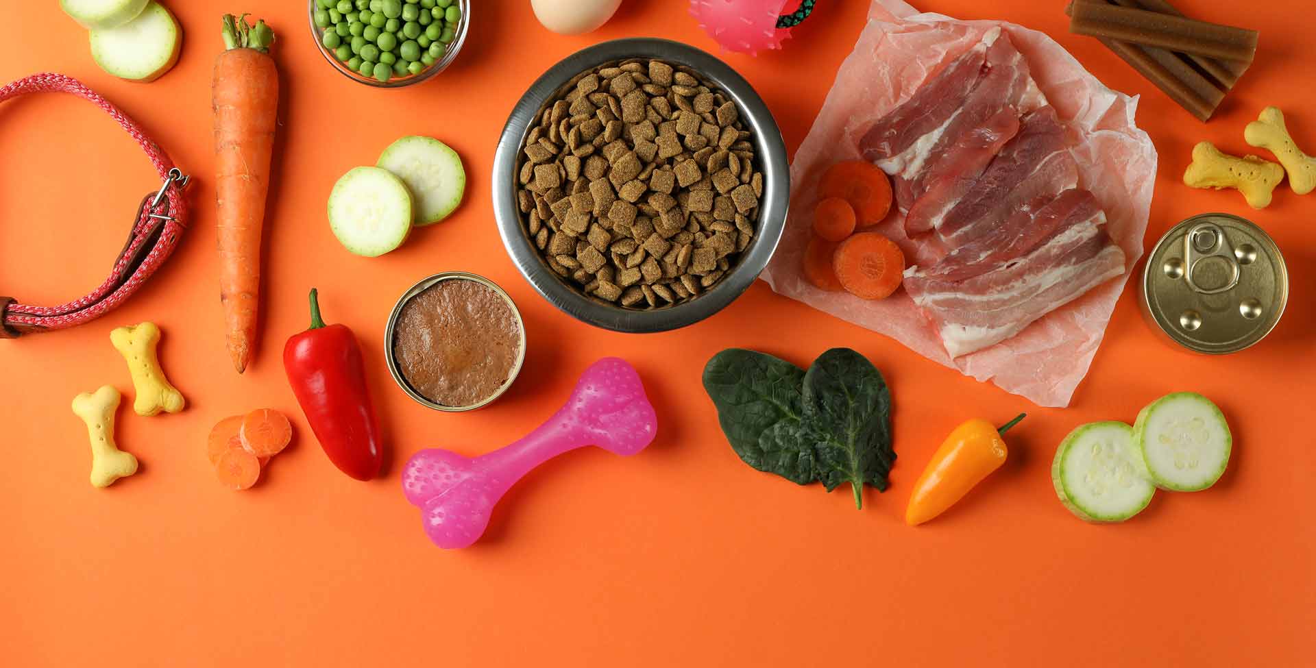 concept of organic pet food